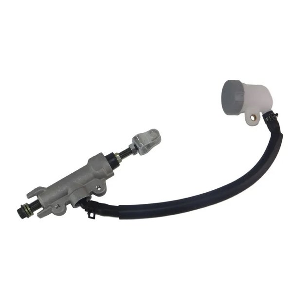 imagem do whatsapp de 2024 02 20 a s 14 42 57 f8c007e2